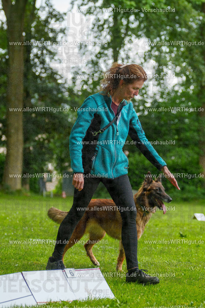 @allesWIRTHgut_Tierfotografie - www.allesWIRTHgut.de - 102019-7R508374 | Professionelle Tierfotografie in Mönchengladbach von Daniel Wirth (allesWIRTHgut). Liebevolle & natürliche Bilder von Hunden & Katzen für unvergessliche Erinnerungen.