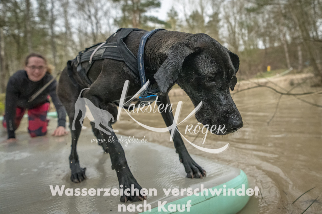 1042_ZZ93271-Bearbeitet | kk-dogfotos
