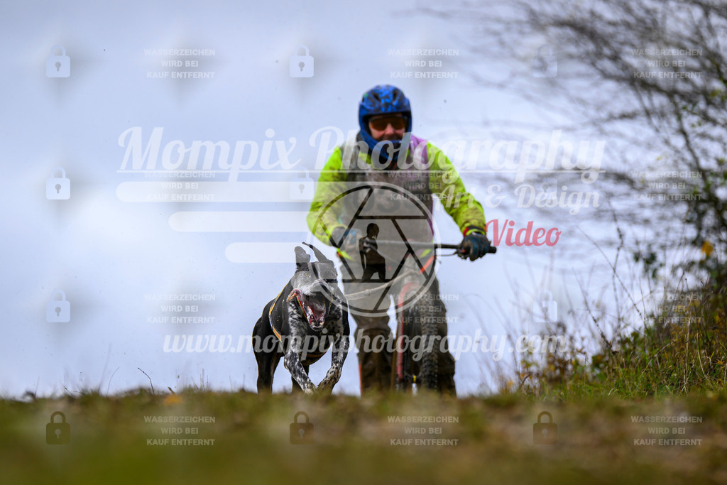 MompixPhotography_2OATB_SO_Scooter-28 | PayLife