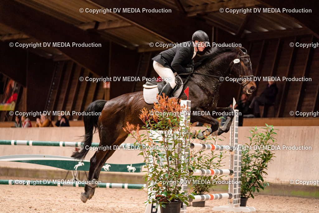 Springen Tag 1-399 | dv-media-shop - Realisiert mit Pictrs.com