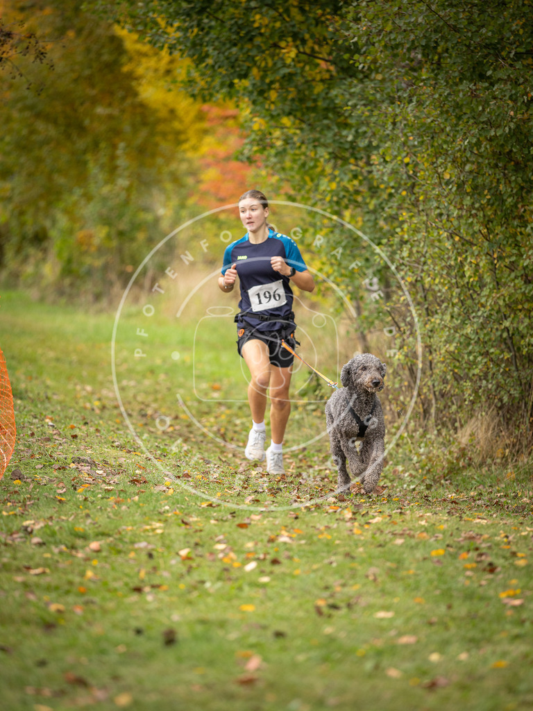 Pfotenfotografie_DV3A3855 | Hundefotografie, Tierfotograf, Pfotenfotografie, Fotoshooting Hund, Hunde Portrait, Hundesport, Hundeportraits, Heideshooting, Hunde, Sportfotograf, Hundefotograf, Turnierhundsport, THS,  - Realisiert mit Pictrs.com