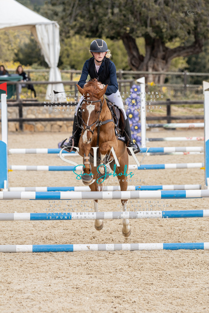 IMG_4699 | s-jay-photography - Realisiert mit Pictrs.com