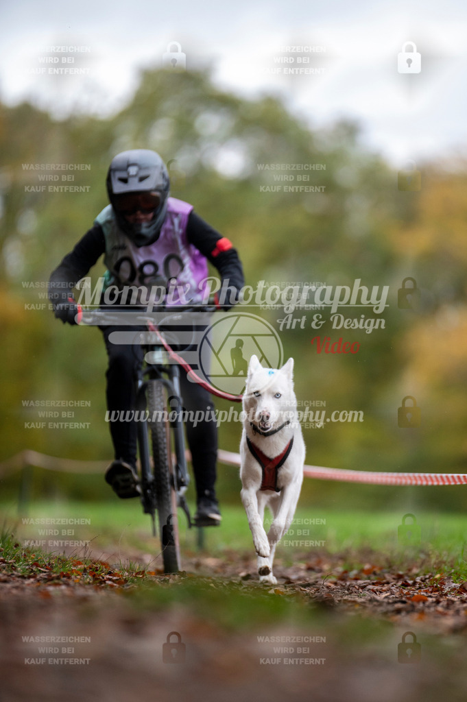 DBT_DAKM_SA_4_11_2023_Bike-95 | PayLife