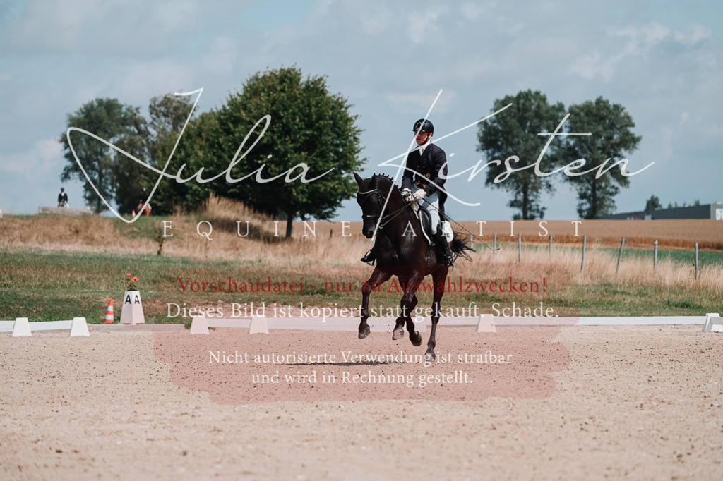 DSC_4012 | Pferde- und Turnierfotografie in Westsachsen. Pferdeportraits, Auftragszeichnungen und intuitive Kunst.