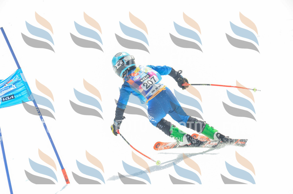 _ELE7012 | holidayphoto