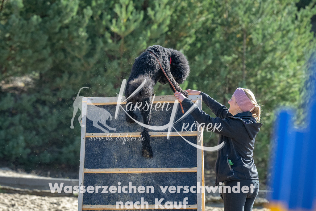 1145_ZZ91911-2 | kk-dogfotos