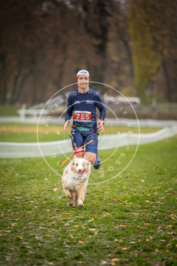 CaniXpix_DV3A9551 | Hundefotografie, Tierfotograf, Pfotenfotografie, Fotoshooting Hund, Hunde Portrait, Hundesport, Hundeportraits, Heideshooting, Hunde, Sportfotograf, Hundefotograf, Turnierhundsport, THS,  - Realisiert mit Pictrs.com