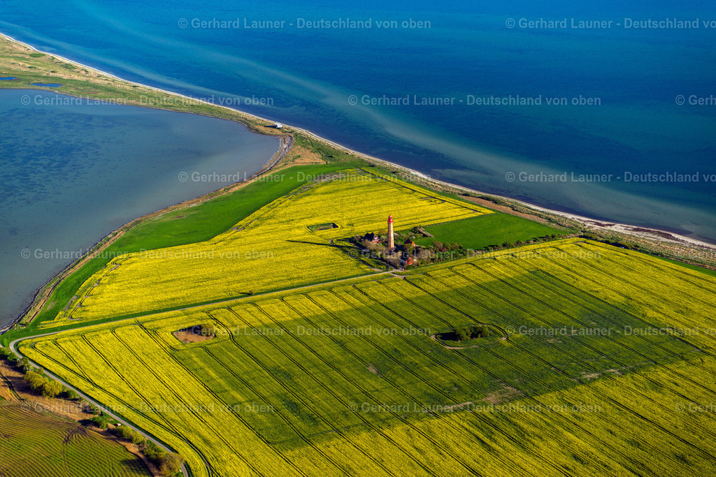 3802243 | Raps-Feldstrukturen am Leuchtturm Flügge, Fehmarn