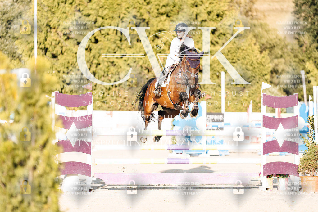 CK900649 | Turnierfotografie Pferdefotografie Trier Rheinland-Pfalz Pferdesport Reitsport Tierfotografie Sportfotografie Pferdevideo Pferdevideografie Equestrianvideography equestrianphotography  - Realisiert mit Pictrs.com