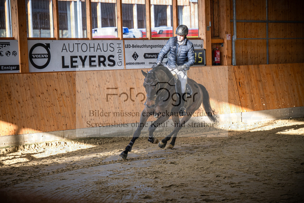 DOS_0112 | Entdecke hochwertige Reitturnierfotos von Foto Oger. Professionell, emotional und authentisch – jetzt Lieblingsmomente im Shop bestellen.Deutschlandweite Turnierfotografie. - Realisiert mit Pictrs.com
