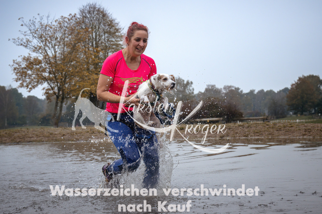 0921_ZZ94838 | kk-dogfotos