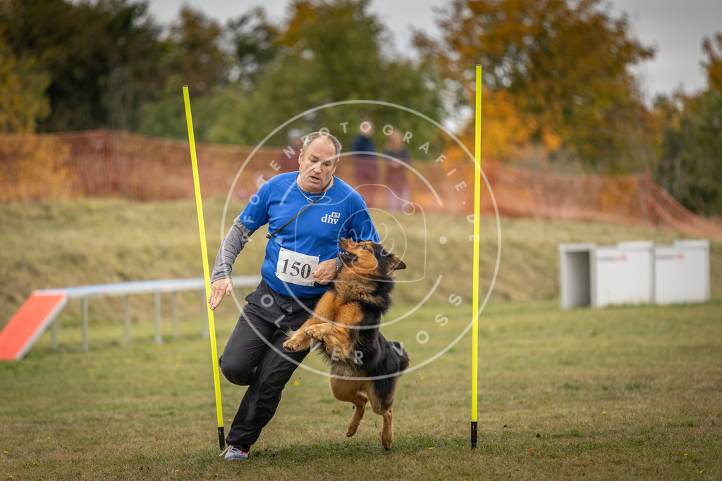 Pfotenfotografie_DV3A6481 | Hundefotografie, Tierfotograf, Pfotenfotografie, Fotoshooting Hund, Hunde Portrait, Hundesport, Hundeportraits, Heideshooting, Hunde, Sportfotograf, Hundefotograf, Turnierhundsport, THS,  - Realisiert mit Pictrs.com