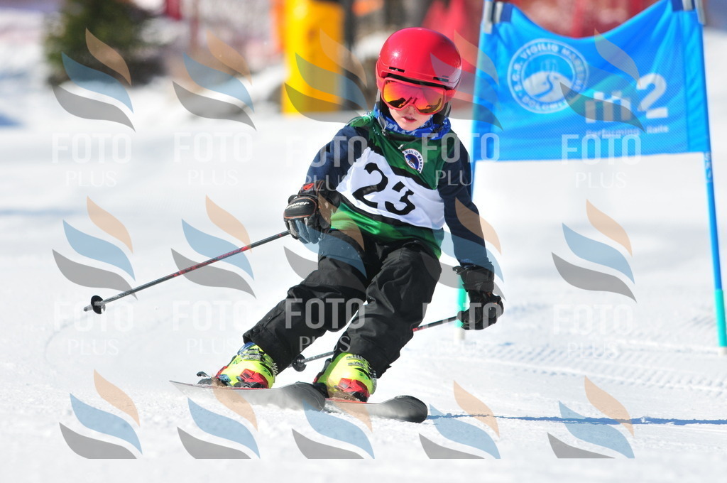 C2554 | holidayphoto