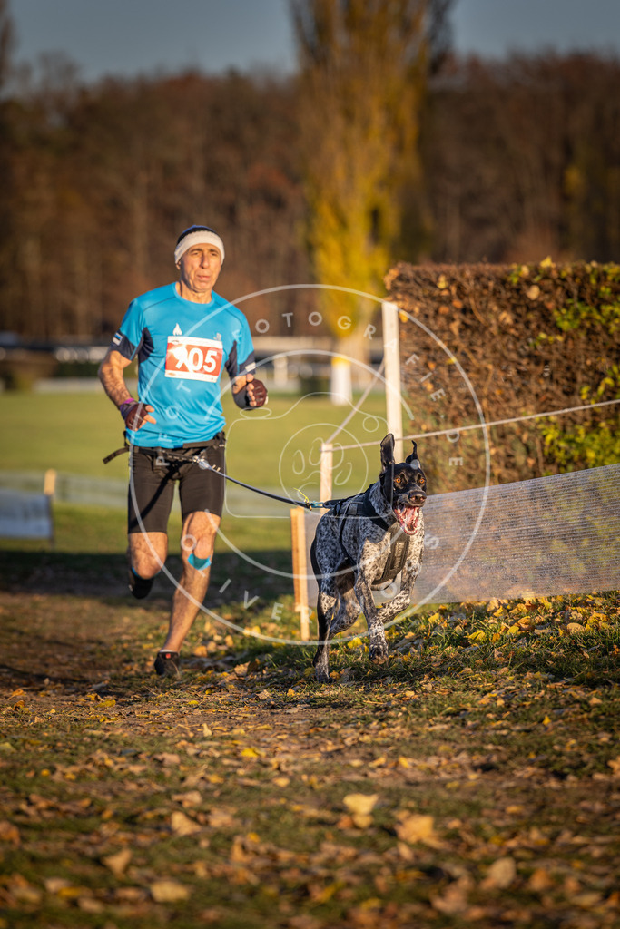 CaniXpix_DV3A4701 | Hundefotografie, Tierfotograf, Pfotenfotografie, Fotoshooting Hund, Hunde Portrait, Hundesport, Hundeportraits, Heideshooting, Hunde, Sportfotograf, Hundefotograf, Turnierhundsport, THS,  - Realisiert mit Pictrs.com
