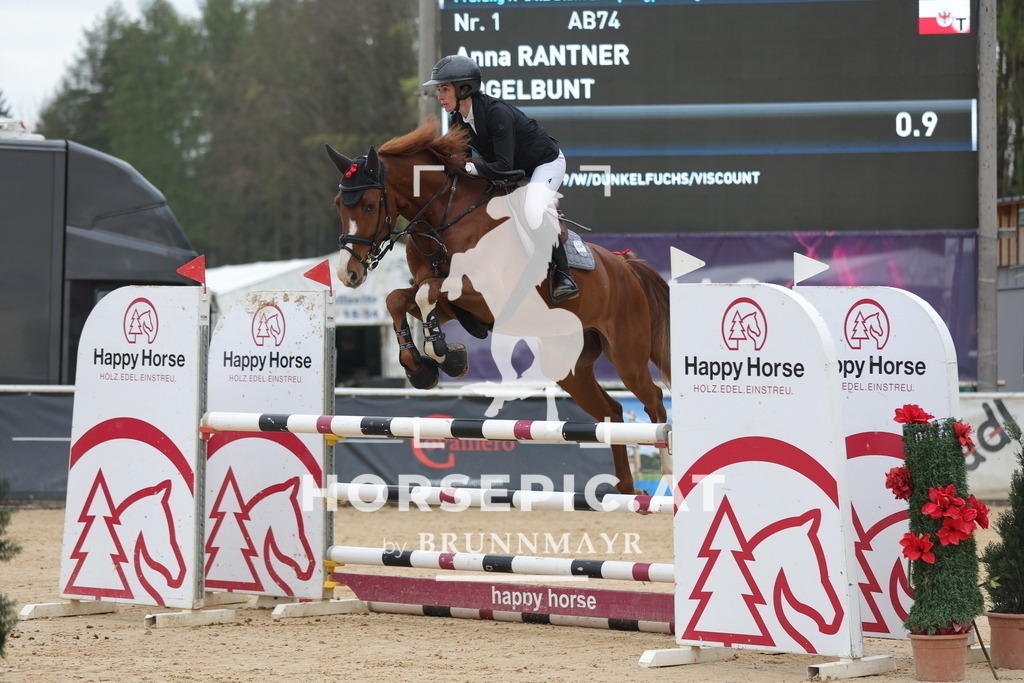 0P6A3128 | Willkommen bei Brunnmayr - Design & Fotografie – Ihrem Spezialisten für Reitturniere und Pferdeveranstaltungen in Oberösterreich, Salzburg und Bayern! Seit über 17 Jahren sind wir leidenschaftlich dabei.
