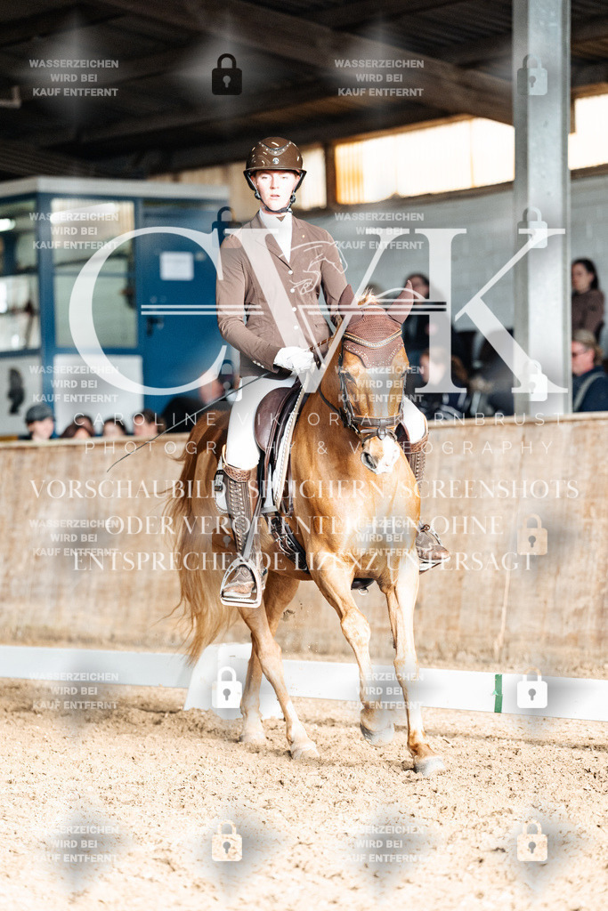 CK902944 | Turnierfotografie Pferdefotografie Trier Rheinland-Pfalz Pferdesport Reitsport Tierfotografie Sportfotografie Pferdevideo Pferdevideografie Equestrianvideography equestrianphotography  - Realisiert mit Pictrs.com