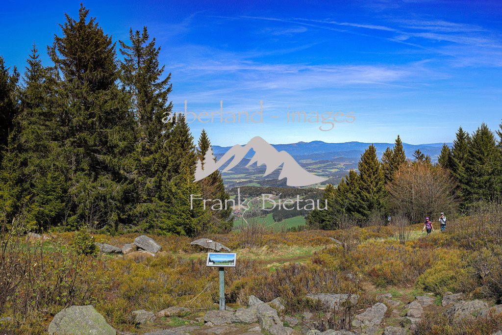 OE7A0458-Pano | vom Gipfel des Pröller der Blick über den Bayerischen Wald