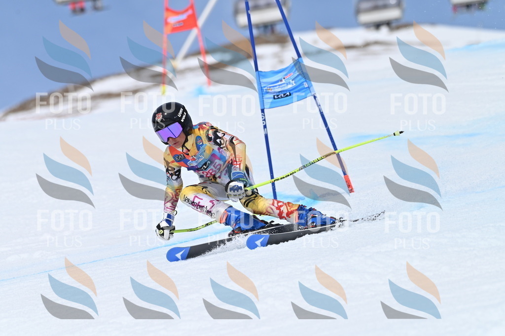 BGV_2510 | holidayphoto