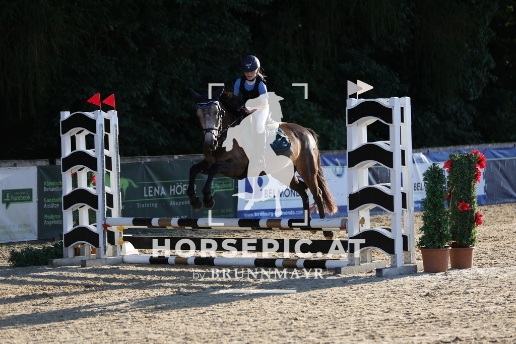 0P6A6586 | Willkommen bei Brunnmayr - Design & Fotografie – Ihrem Spezialisten für Reitturniere und Pferdeveranstaltungen in Oberösterreich, Salzburg und Bayern! Seit über 17 Jahren sind wir leidenschaftlich dabei.