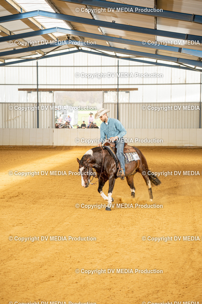 MIT01293 | dv-media-shop - Realisiert mit Pictrs.com