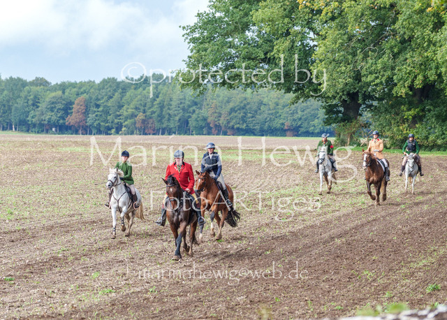 Jagd Perdoel 26 Sony-04100_MarinaHewig | Fotografie, FotoArt, PferdesportArt, Pferdesportfotografie, Landschaftsfotografie, Reisefotografie, Reise, Pferde - Realisiert mit Pictrs.com