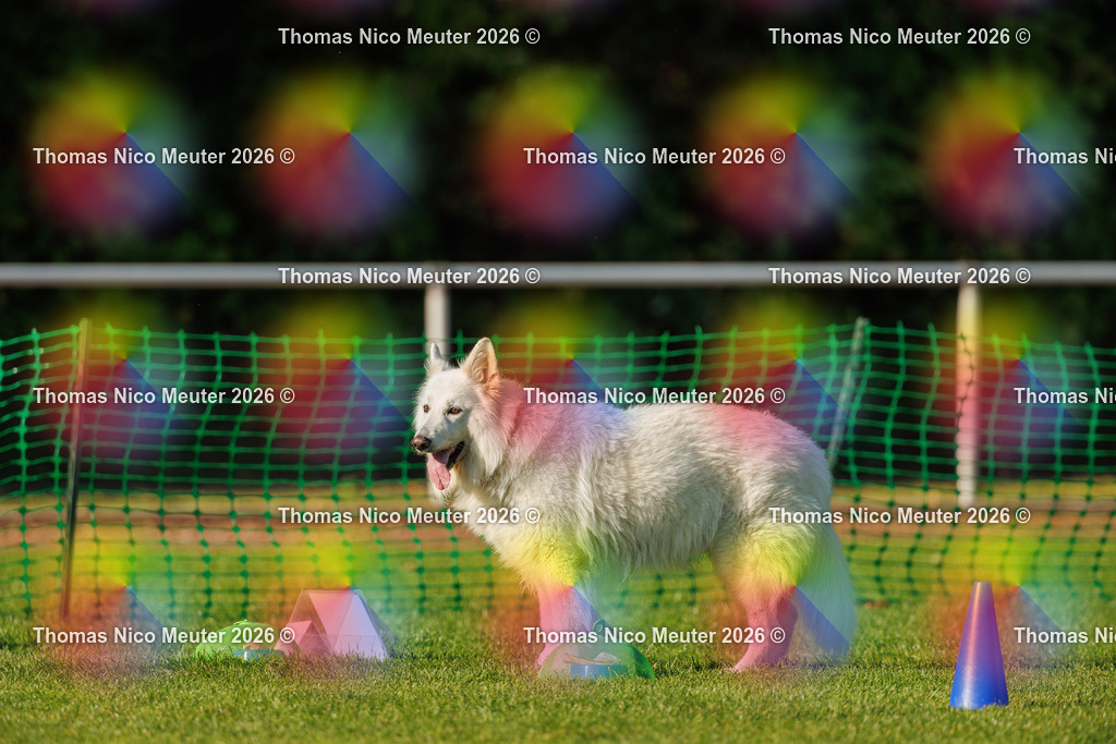 Thomas_Nico_Meuter(C)_04. Oktober 2026_223A4125 | Bild von Thomas Nico Meuter - Realisiert mit Pictrs.com