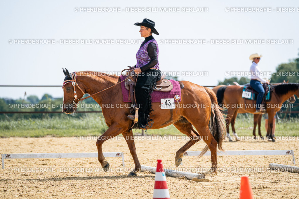 DSC00255 | Pferdegrafie