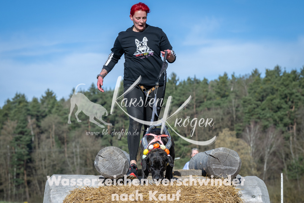 0935_ZZ94347 | kk-dogfotos