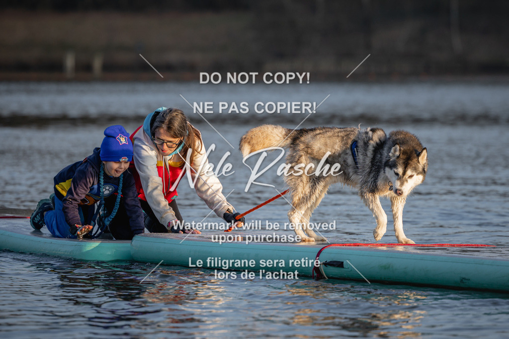 nelerasche_Hulsbeek_Sa1730-Ende_196 | nelerasche