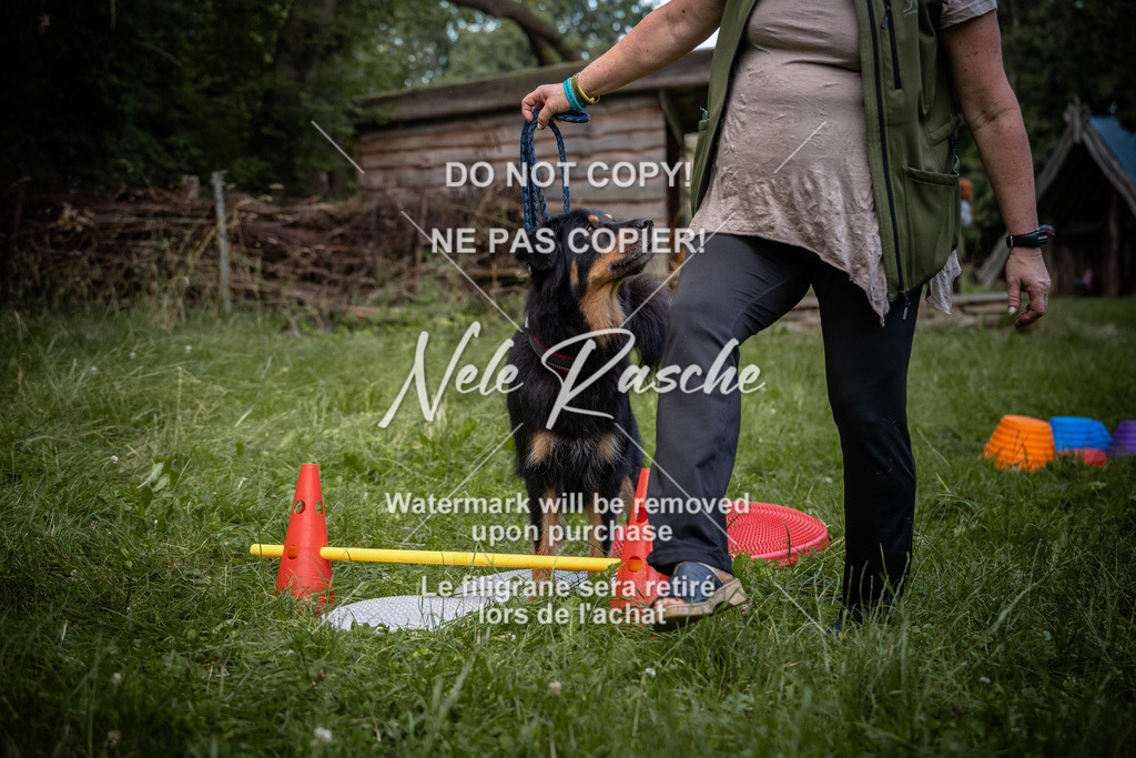 nelerasche_SoEarlyDog_129 | nelerasche