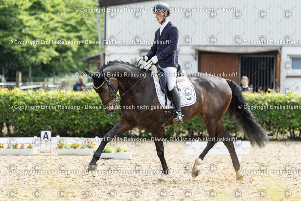 CL5A5601 | Emilia Reinking Fotografie - Realisiert mit Pictrs.com