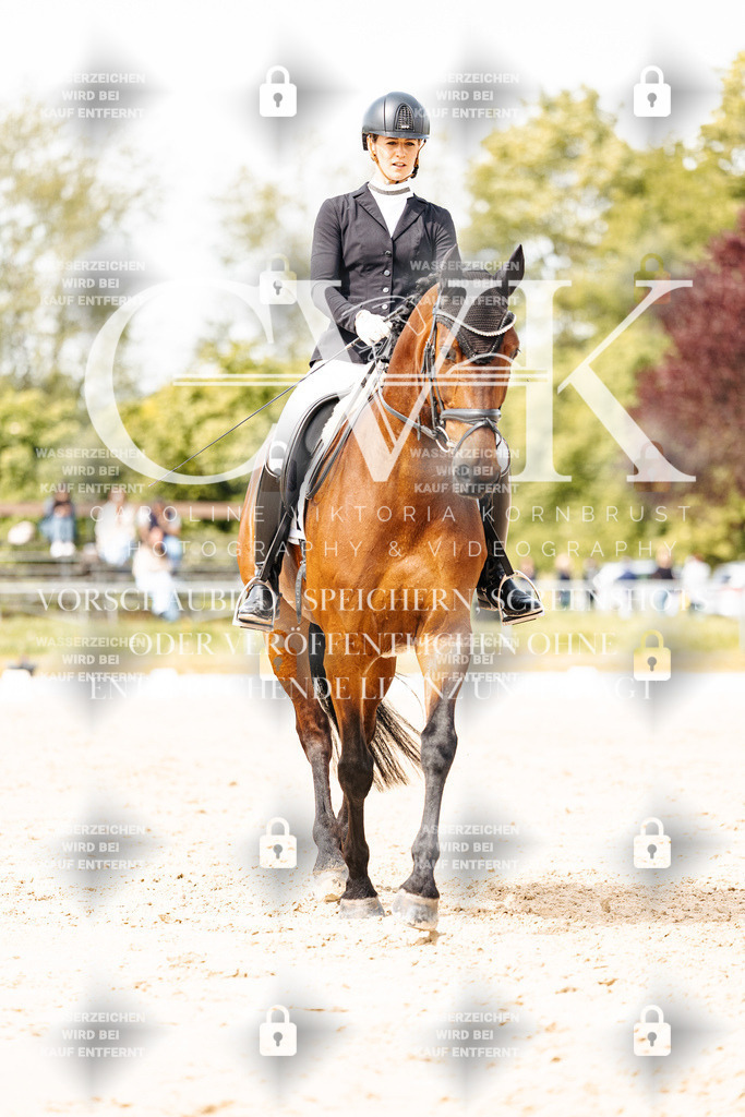 CK901478 | Turnierfotografie Pferdefotografie Trier Rheinland-Pfalz Pferdesport Reitsport Tierfotografie Sportfotografie Pferdevideo Pferdevideografie Equestrianvideography equestrianphotography  - Realisiert mit Pictrs.com