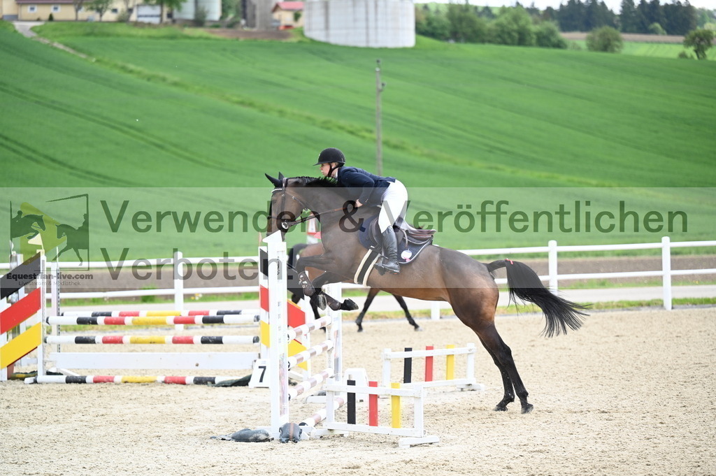 DSC_0773 | equestrian-live-com