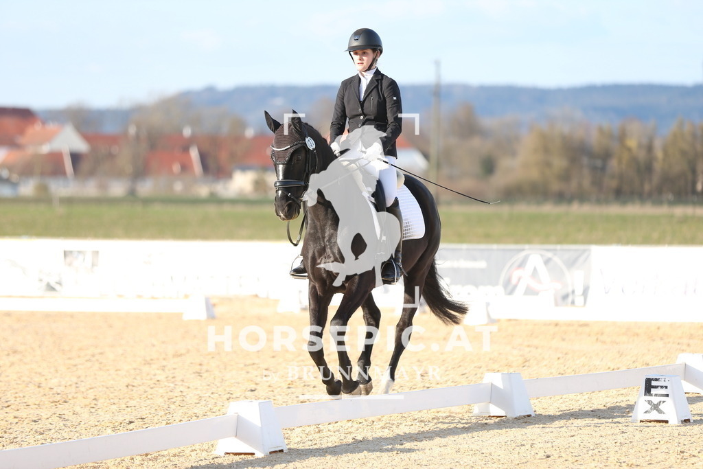 AS8V2171 | Willkommen bei Brunnmayr - Design & Fotografie – Ihrem Spezialisten für Reitturniere und Pferdeveranstaltungen in Oberösterreich, Salzburg und Bayern! Seit über 17 Jahren sind wir leidenschaftlich dabei.