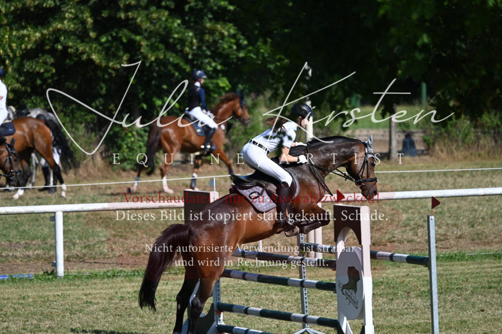 DSC_2059 | Pferde- und Turnierfotografie in Westsachsen. Pferdeportraits, Auftragszeichnungen und intuitive Kunst.