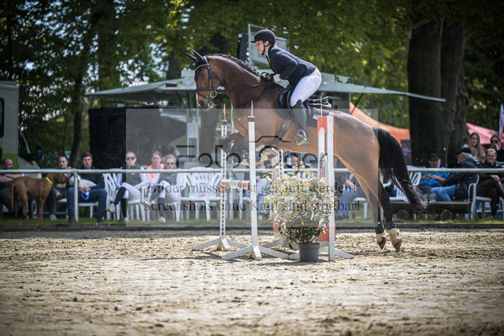 DOS_9815 | Entdecke hochwertige Reitturnierfotos von Foto Oger. Professionell, emotional und authentisch – jetzt Lieblingsmomente im Shop bestellen.Deutschlandweite Turnierfotografie. - Realisiert mit Pictrs.com