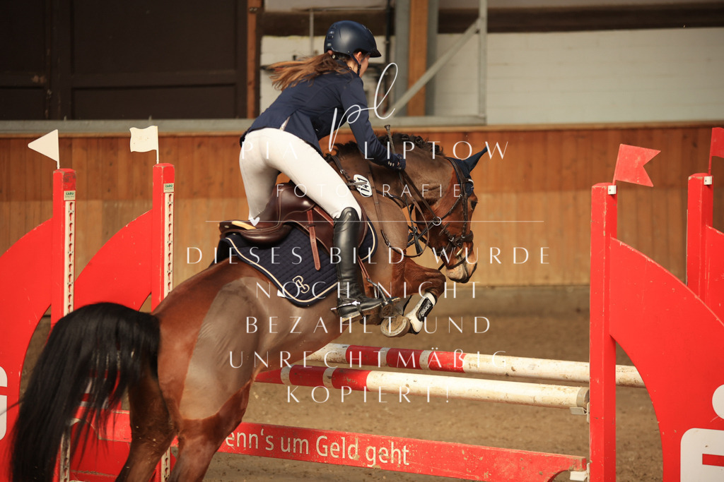 IMGT9956 | pl-fotografie