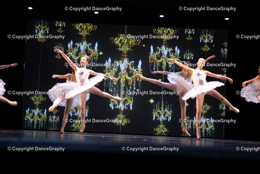 GPHY5854 | DanceGraphy - Realisiert mit Pictrs.com