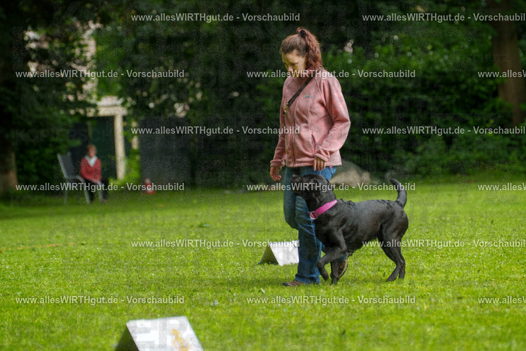 @allesWIRTHgut_Tierfotografie - www.allesWIRTHgut.de - 7R503124 | Professionelle Tierfotografie in Mönchengladbach von Daniel Wirth (allesWIRTHgut). Liebevolle & natürliche Bilder von Hunden & Katzen für unvergessliche Erinnerungen.