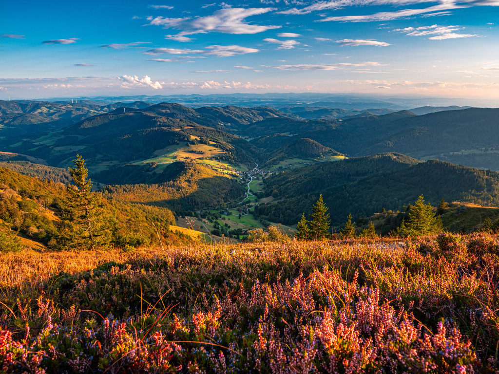 Belchen im Südschwarzwald | Blick vom Gipfel des Belchen über den südlichen Schwarzwald - Realisiert mit Pictrs.com