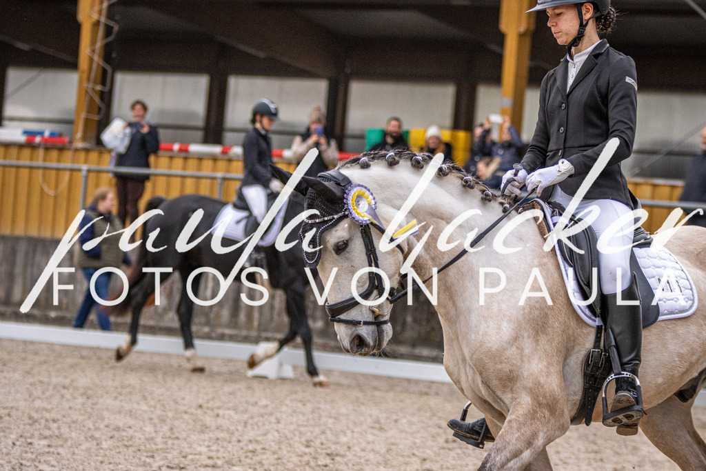 IMG_2656 | Erleben Sie dynamische Sport- und emotionale Tierfotografie in Süddeutschland mit Fotos von Paula. Spezialisiert auf Pferde- und Hundefotografie sowie Sportevents. Kontaktieren Sie mich für einzigartige und ausdrucksstarke Bilder Ihrer besonderen Momente. - Realisiert mit Pictrs.com