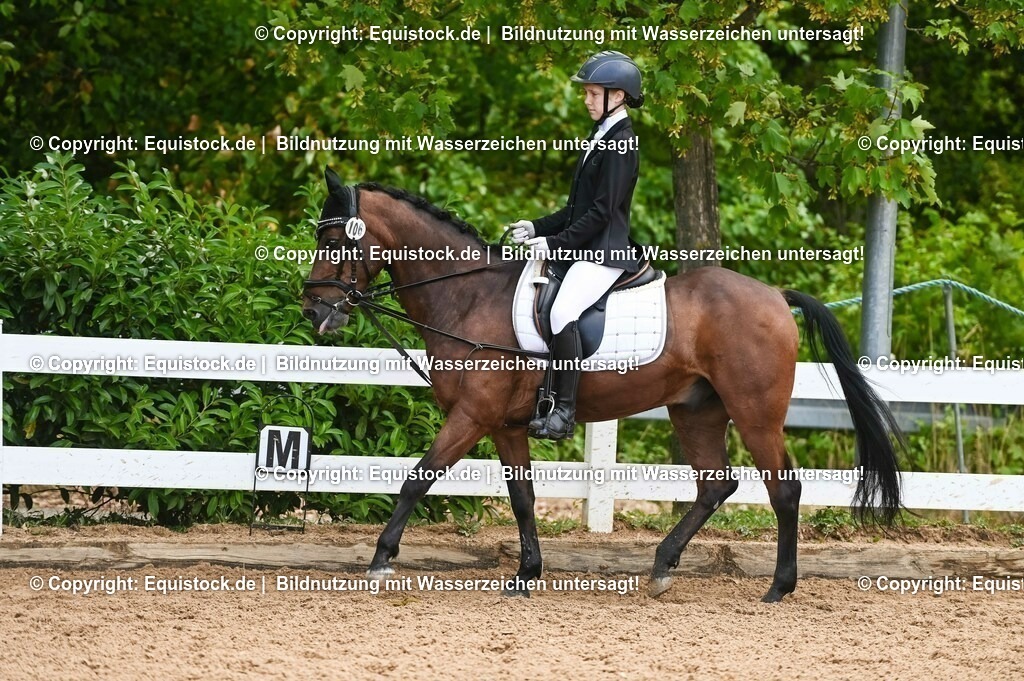 20230716_10-2_Reiter-WB Schritt - Trab - Galopp_0128 | equistock