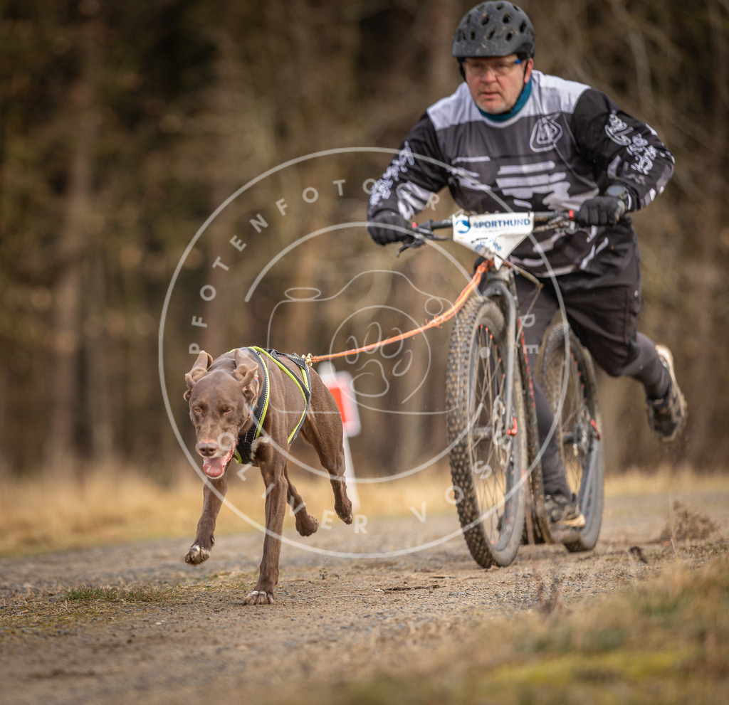 DV3A3454 | Hundefotografie, Tierfotograf, Pfotenfotografie, Fotoshooting Hund, Hunde Portrait, Hundesport, Hundeportraits, Heideshooting, Hunde, Sportfotograf, Hundefotograf, Turnierhundsport, THS,  - Realisiert mit Pictrs.com