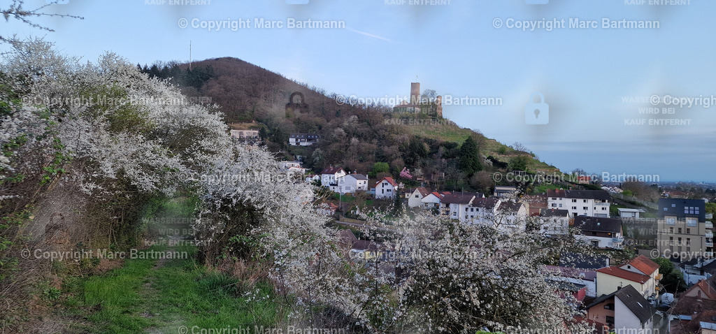 20240326_184107 | Marc Bartmann - Fotografie Schriesheim - Realisiert mit Pictrs.com