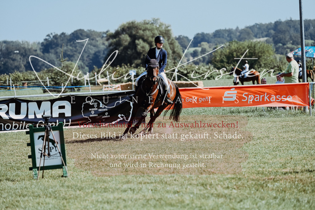 DSC_5879 | Pferde- und Turnierfotografie in Westsachsen. Pferdeportraits, Auftragszeichnungen und intuitive Kunst.