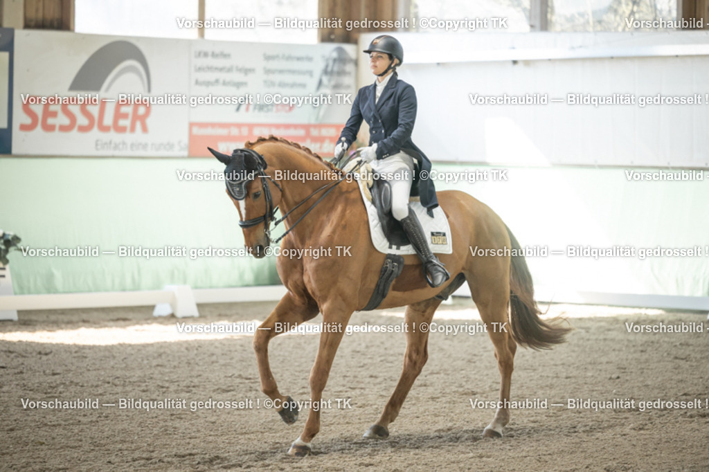 _D5A1410 | Emotionale Pferde- & People-Fotografie rund um Heidelberg, Leimen & Umgebung. Natürliche Fotos von Pferd, Mensch & Familie. Jetzt Termin sichern!