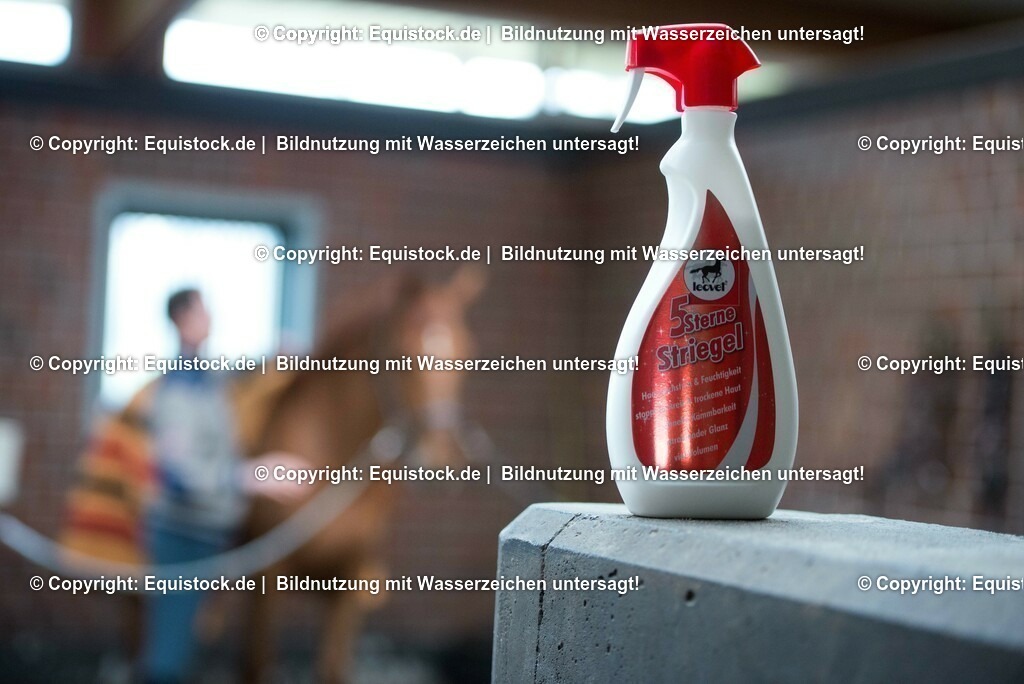 20160226_Leovet_0002 | equistock