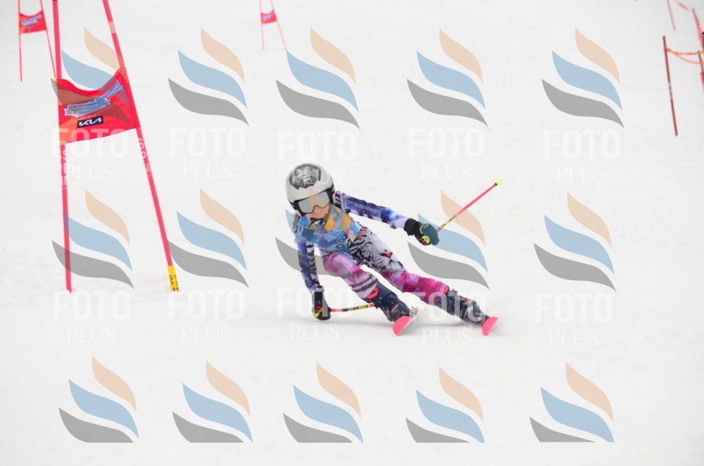 C1366 | holidayphoto