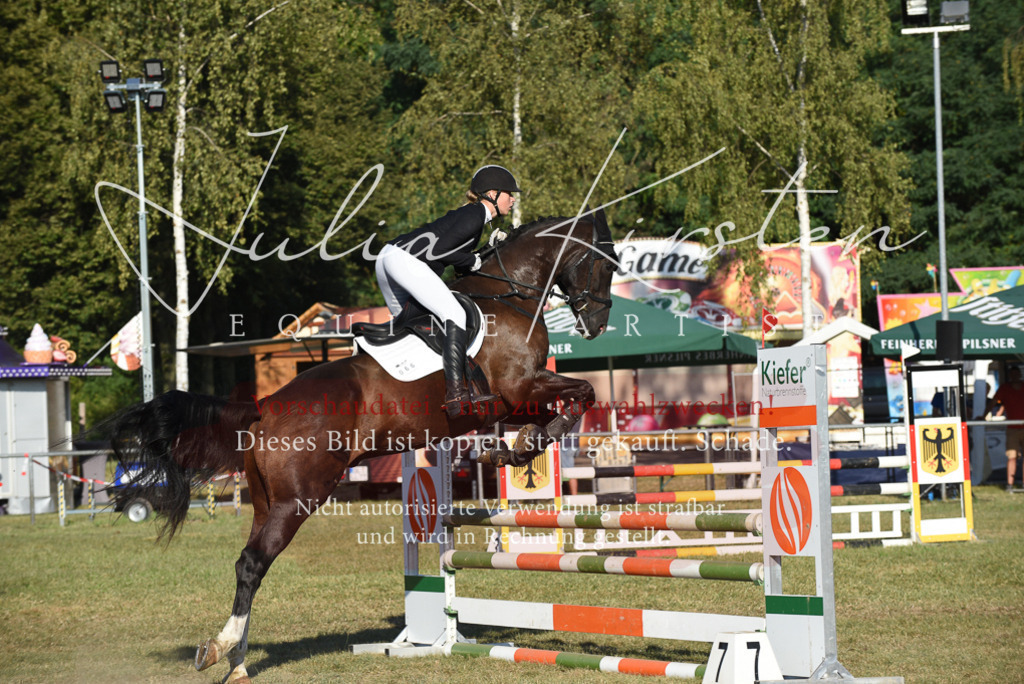 DSC_5030 | Pferde- und Turnierfotografie in Westsachsen. Pferdeportraits, Auftragszeichnungen und intuitive Kunst.