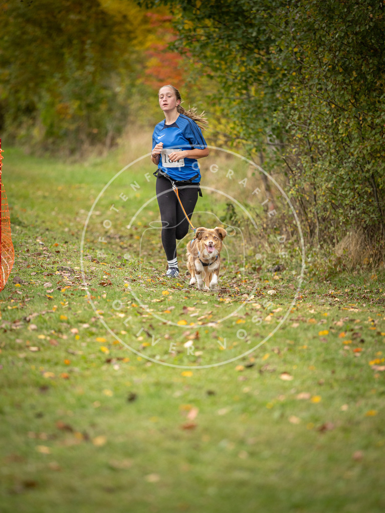 Pfotenfotografie_DV3A3611 | Hundefotografie, Tierfotograf, Pfotenfotografie, Fotoshooting Hund, Hunde Portrait, Hundesport, Hundeportraits, Heideshooting, Hunde, Sportfotograf, Hundefotograf, Turnierhundsport, THS,  - Realisiert mit Pictrs.com